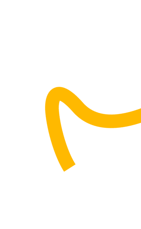 what is saliyab shape pic