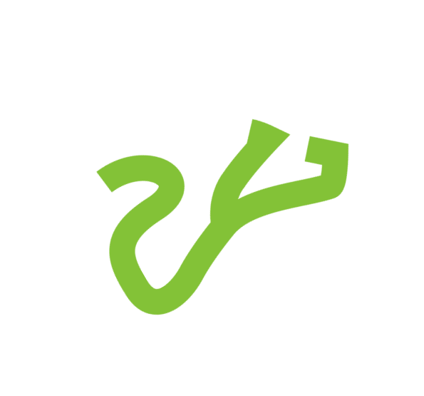 what is saliyab shape pic